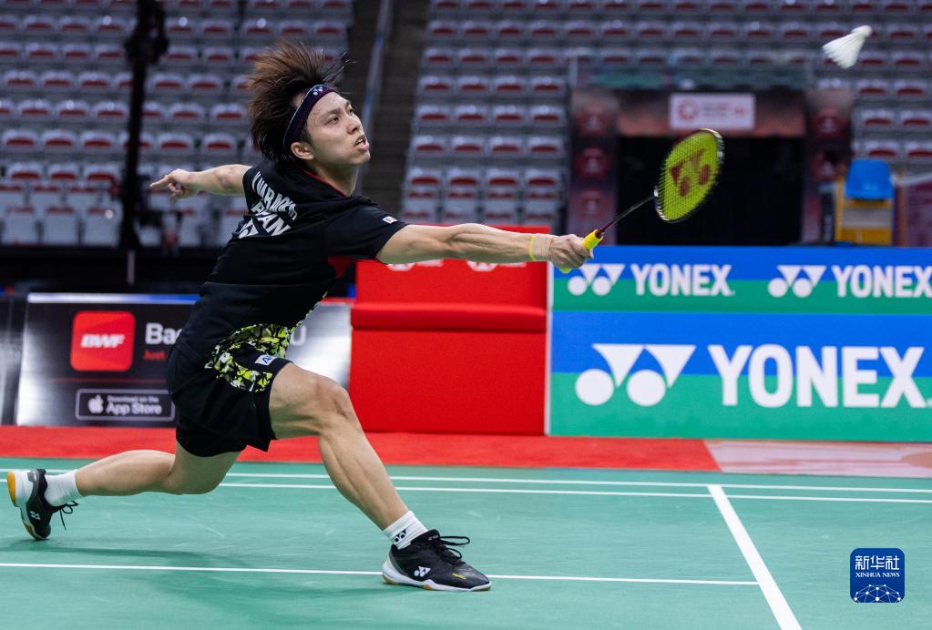 数年发展 数年发展