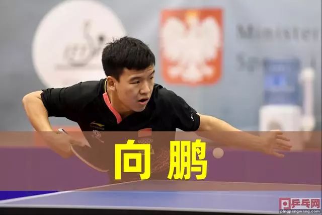 3的惊人比 3的惊人比